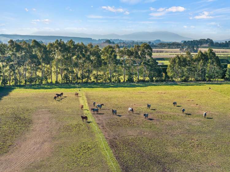 2404 Tram Road West Eyreton_5