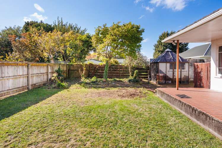 40 High Street Bulls_30