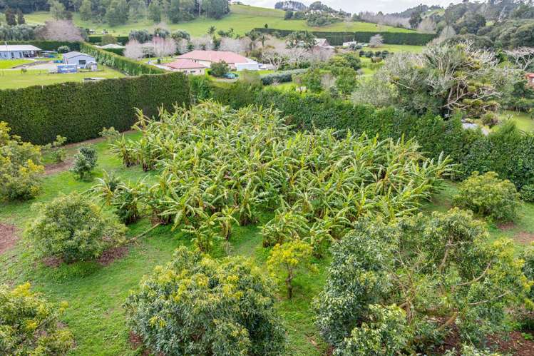 14 Hawken Road Maunu_22