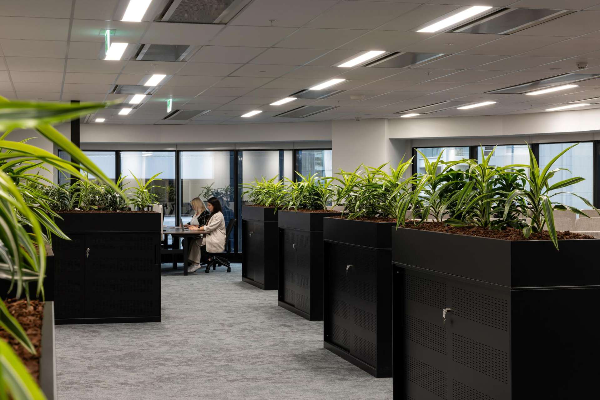 23-29 Albert Street Auckland Central_0