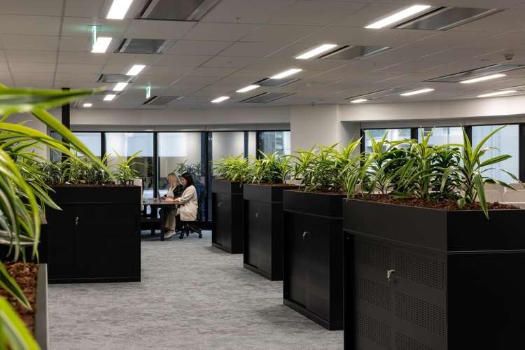 23-29 Albert Street_0