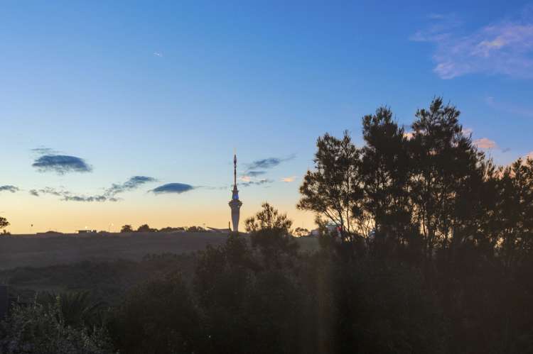 41b Selwyn Avenue Mission Bay_14