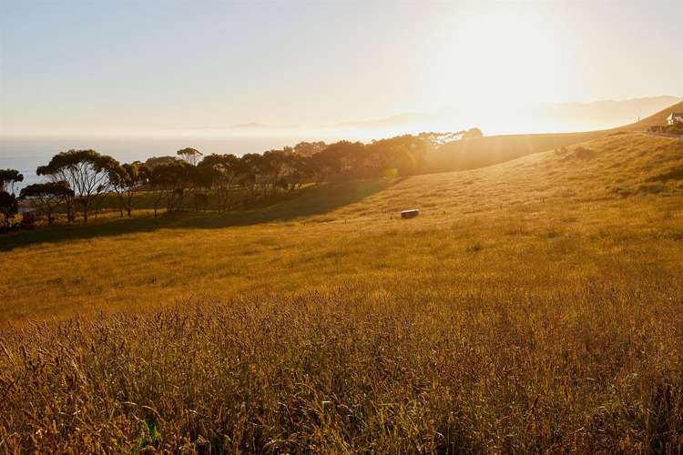 3A Seaview Sections Kaikoura_17