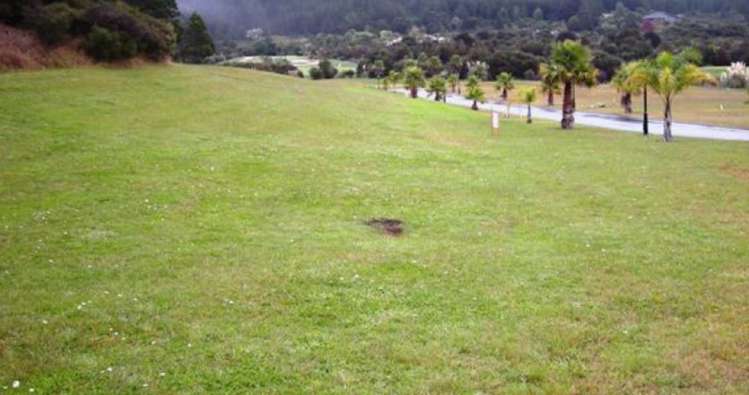 59 Pinehurst Drive Pauanui_2