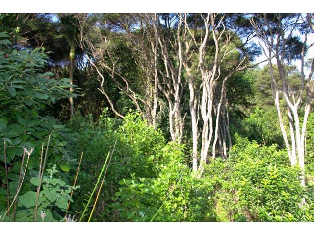 26 Okoka Road Omiha_3