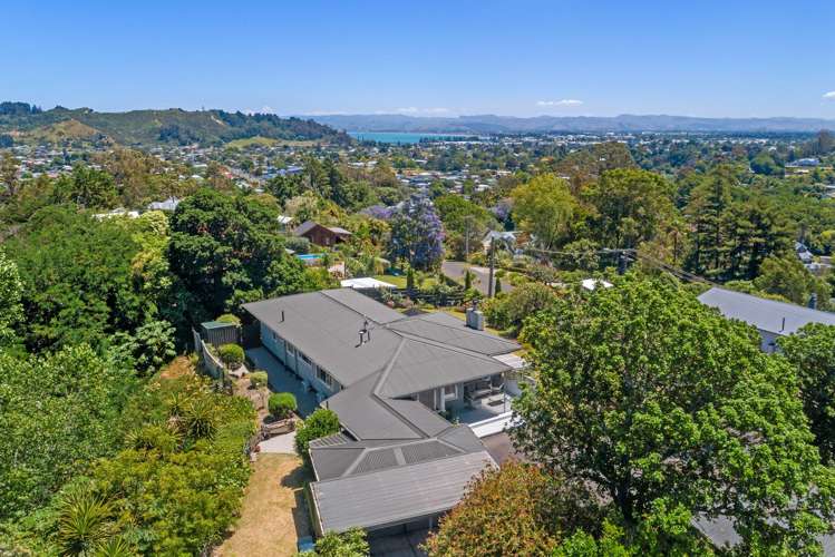 29 Gaddums Hill Outer Kaiti_19