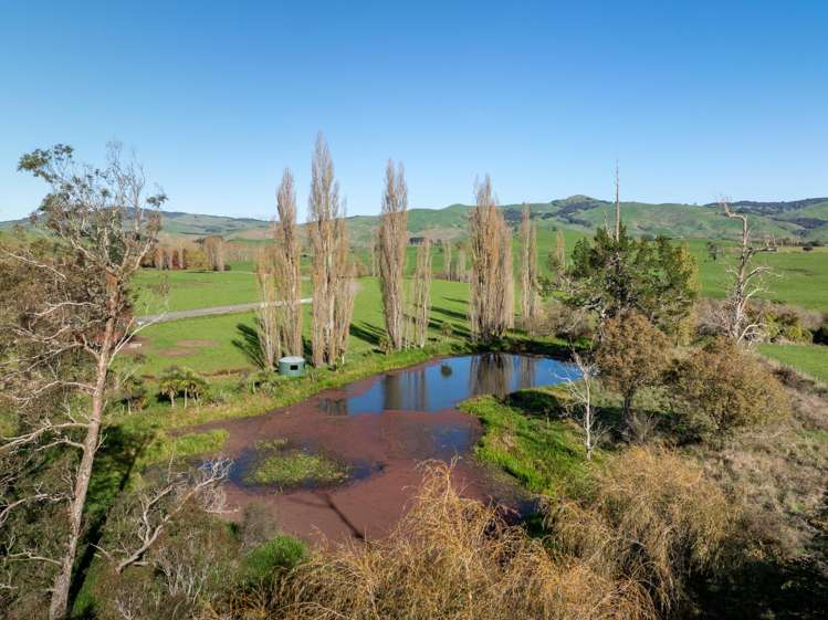 24 Waterworks Road Morrinsville_32