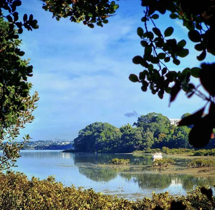 70 Ngataringa Road Devonport_43