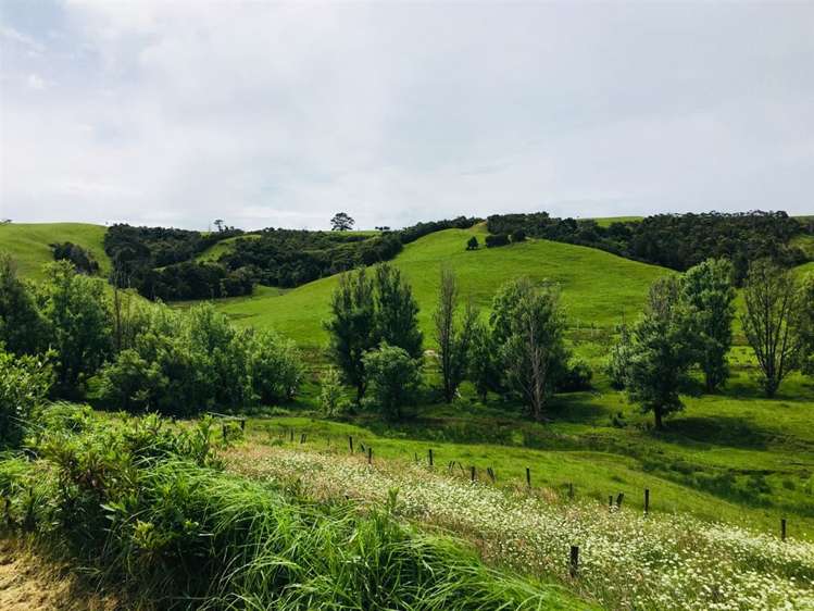 70 Churton Road Kaingaroa_15