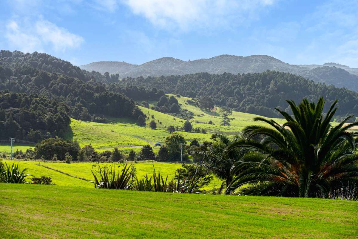 549 Helmsdale Road_1