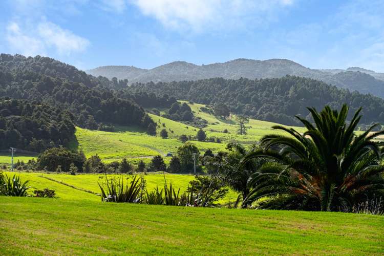 549 Helmsdale Road Waipu_5