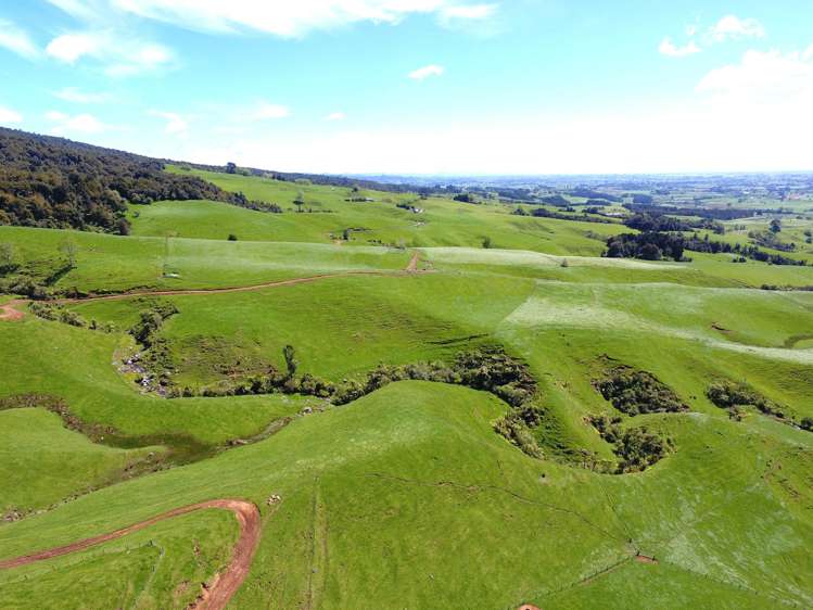 3/585 O'Shea Road Pirongia_18