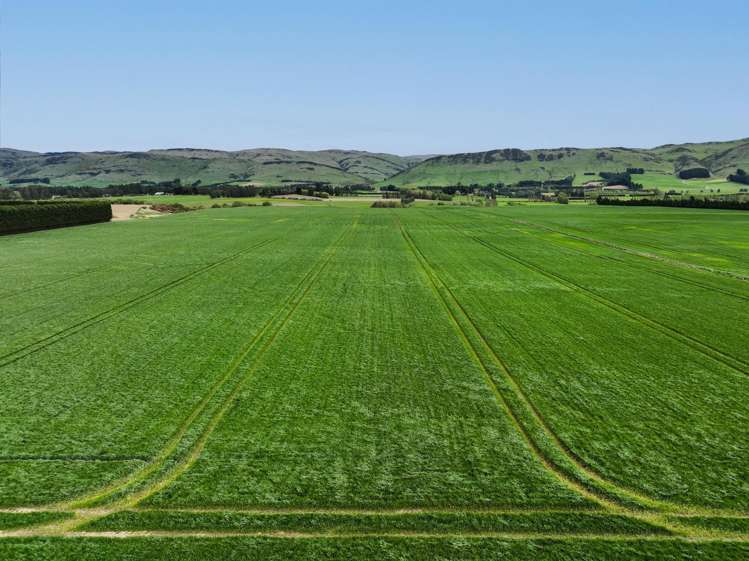 Warr Road. Balfour_9