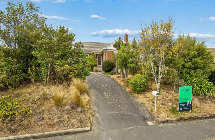 50 Mayfield Avenue Wakari_22