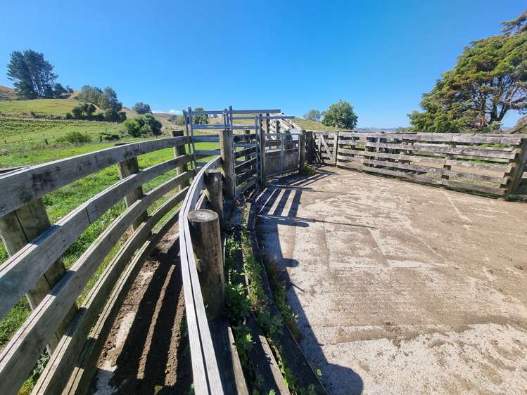 Paekaka Road Piopio_11