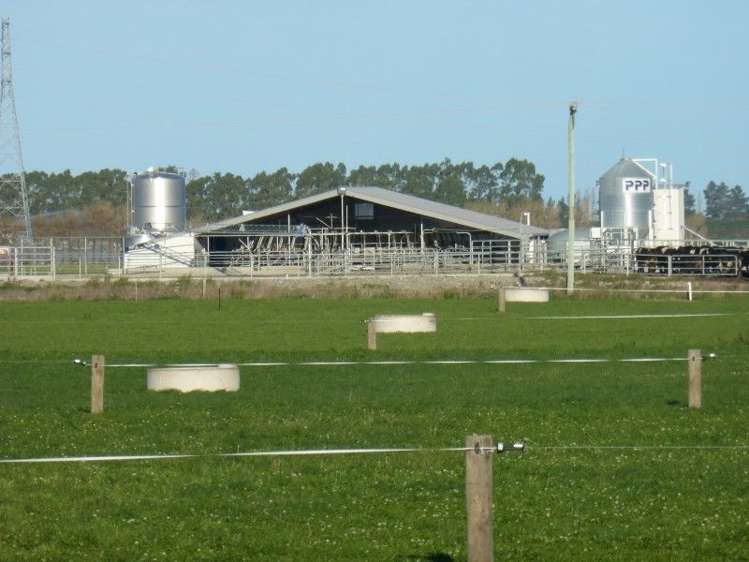 103 Mclachlans Road Rakaia_13