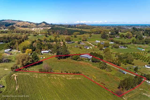 110 Maclaurin Road Makauri_1