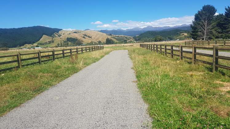 12 Oriwa Lane Levin_1