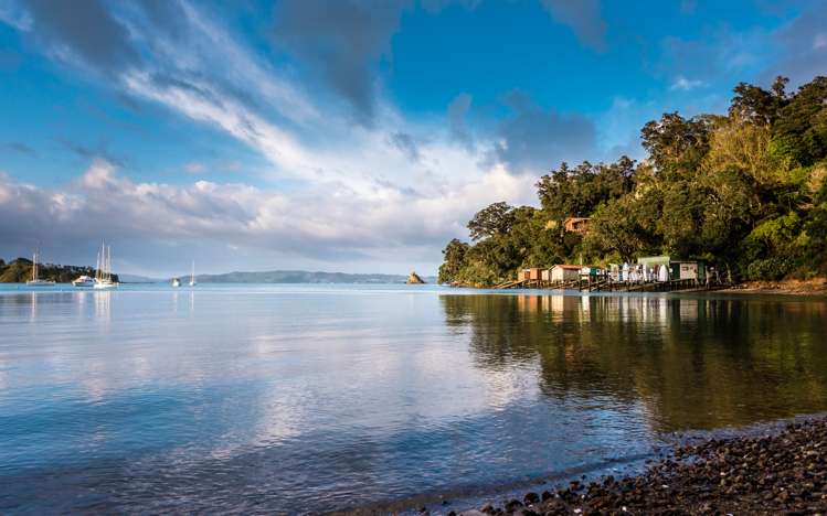 8 Pohutukawa Avenue Omiha_11