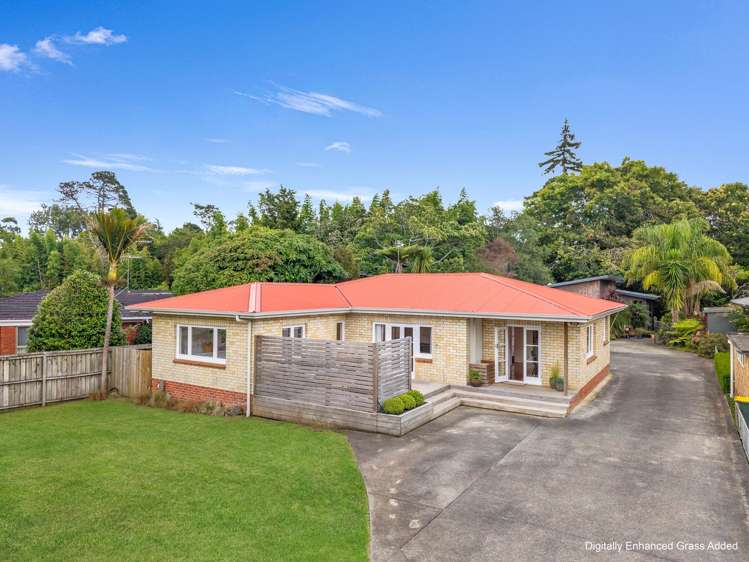164 Seddon Street Pukekohe_0