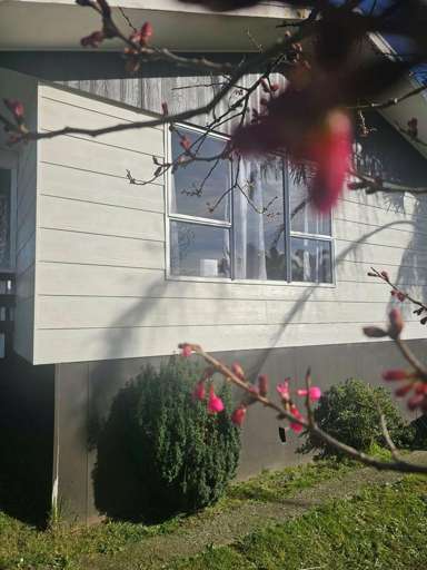 10 Harold Avenue_2