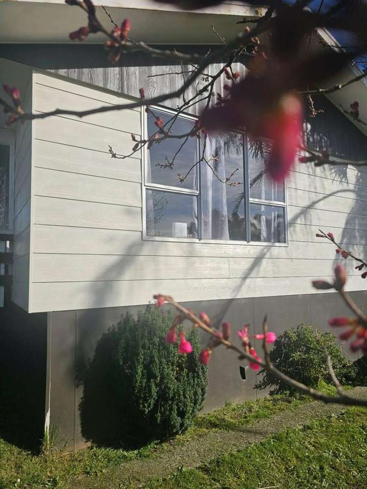 10 Harold Avenue Kaikohe_2