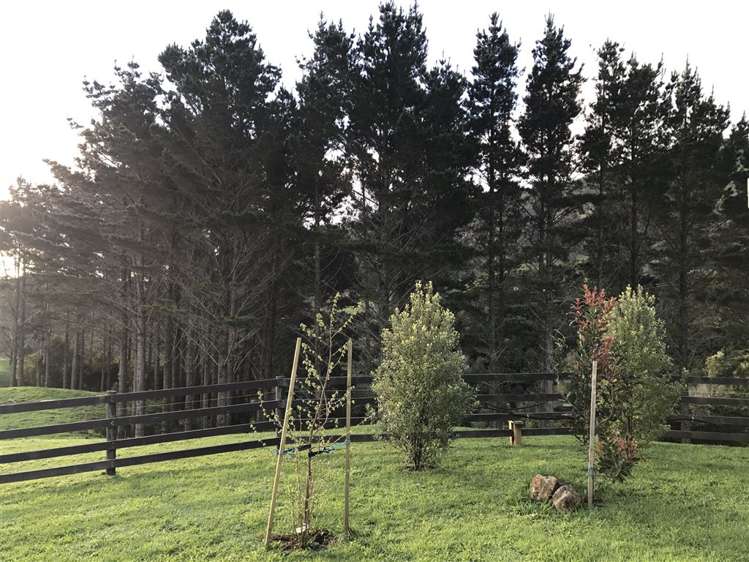 240 Rahu Road Karangahake_8