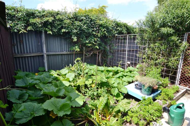 76 Racecourse Road Sockburn_34