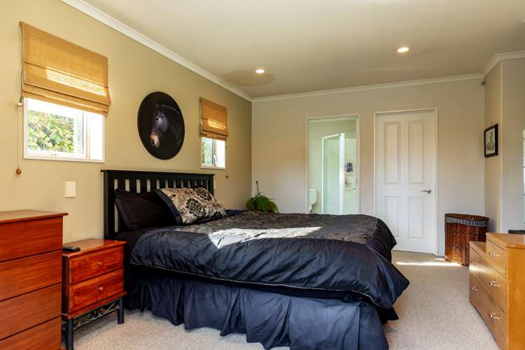 255 Scott Street Redwoodtown_13