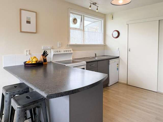 251a Lyttelton Street Spreydon_1