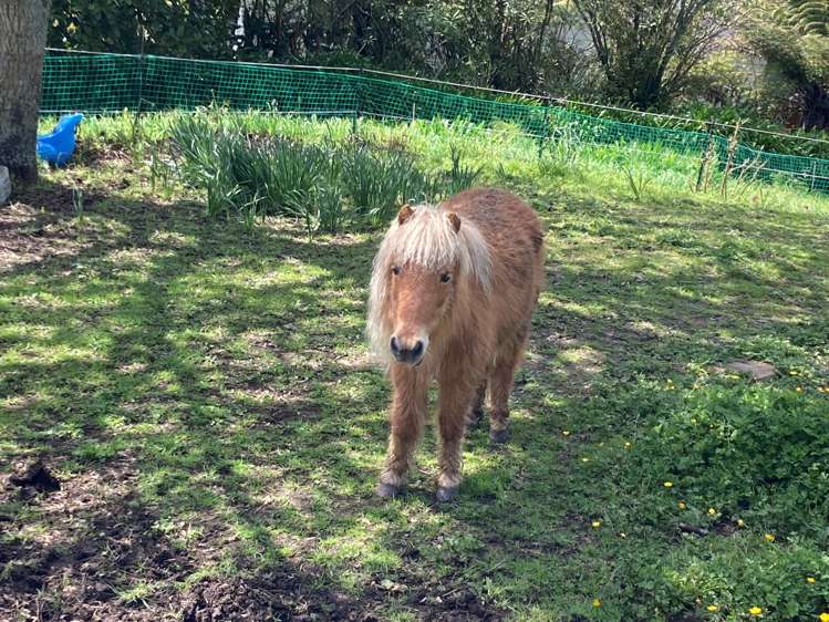 530 Whitford Road Whitford_11