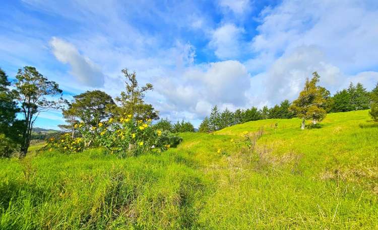 Lot lot 2 Koutu Loop Road Opononi_12