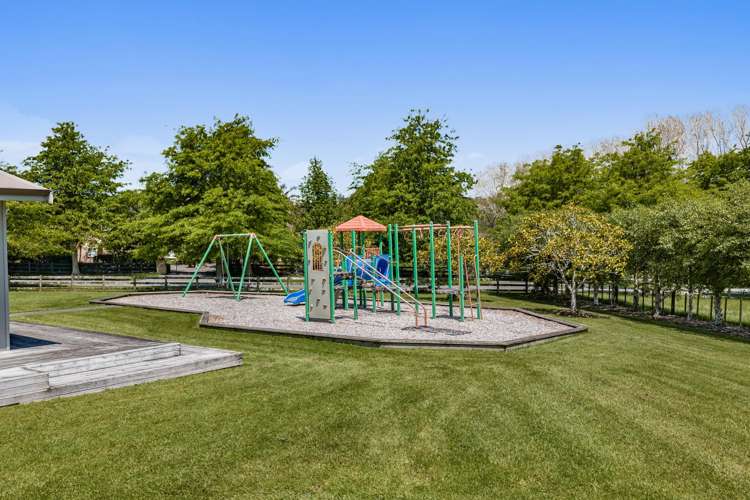 85 Goodland Drive Dairy Flat_39