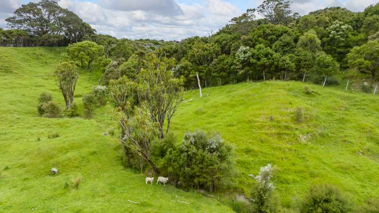 418 Kaiwaka Road Martinborough_6