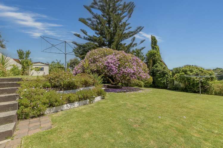 32 Merivale Road Parkvale_3