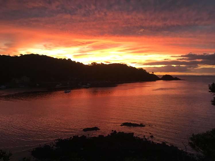 179 Shoal Bay Road Great Barrier Island_18