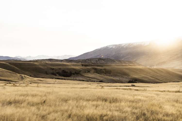 Cardrona Valley Road Little Meg_10