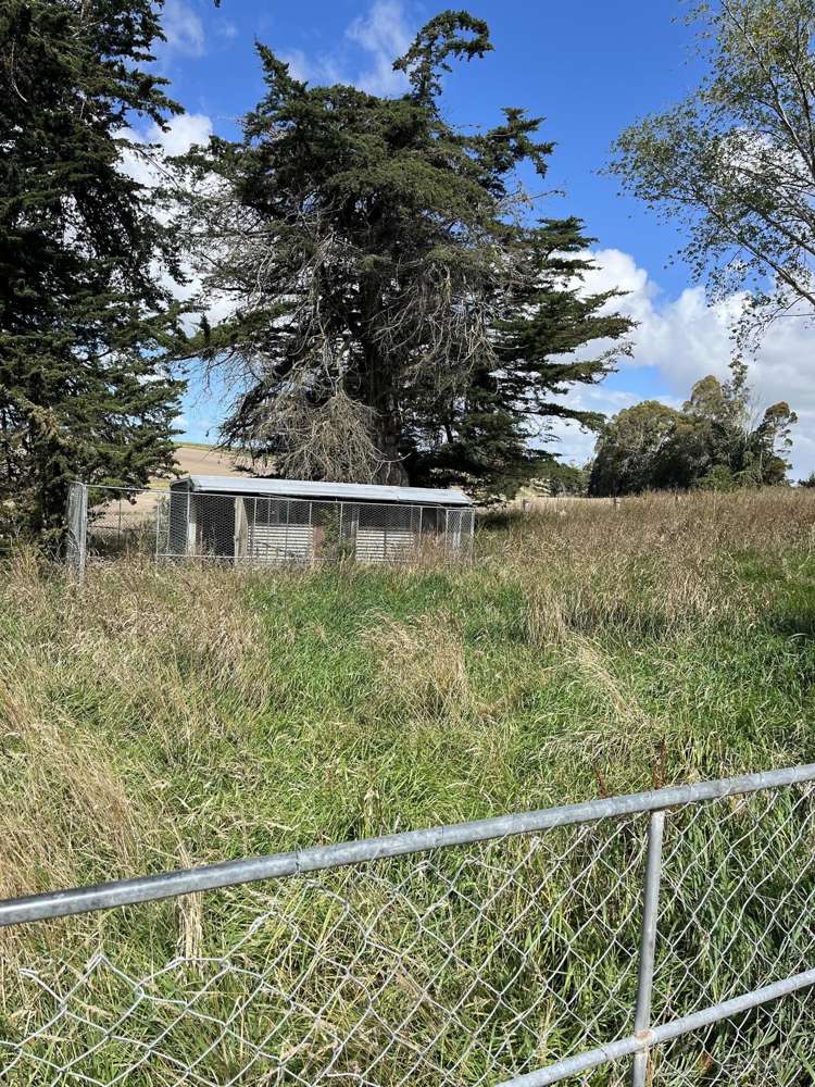 109 Kingsbury Road Makikihi_18