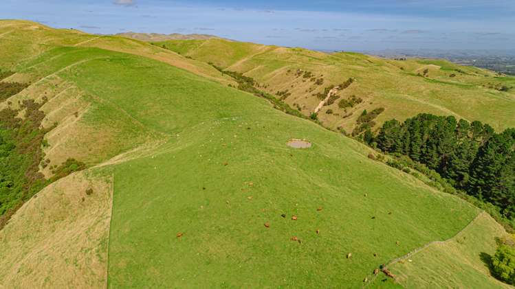 1094 Opaki Kaiparoro Road Rangitumau_1