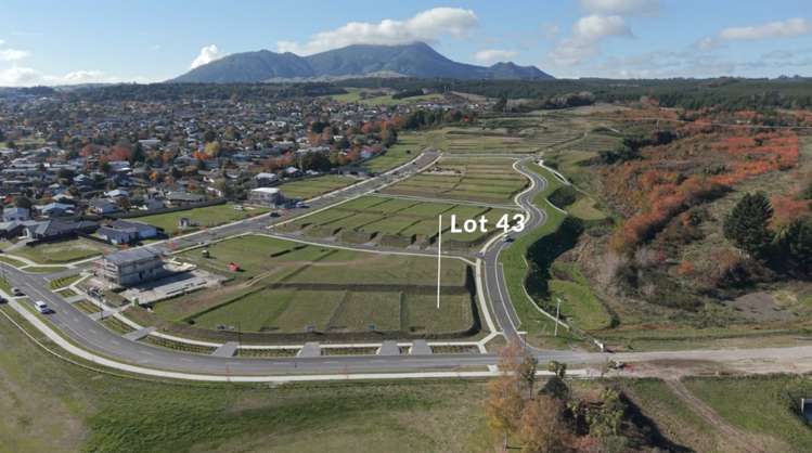 29 Condor Avenue Richmondheights_4