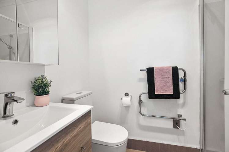 84F Horsham Downs Road Rototuna North_8