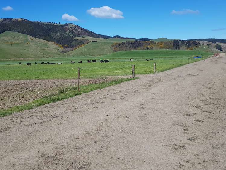 213 Toko Mouth Road Milton_14