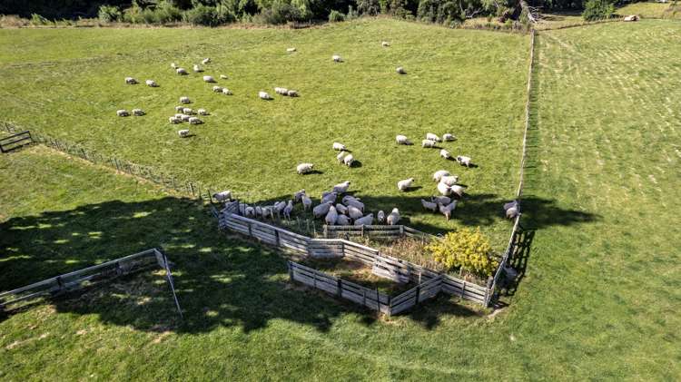 1182 Opaki Kaiparoro Road Mauriceville_12