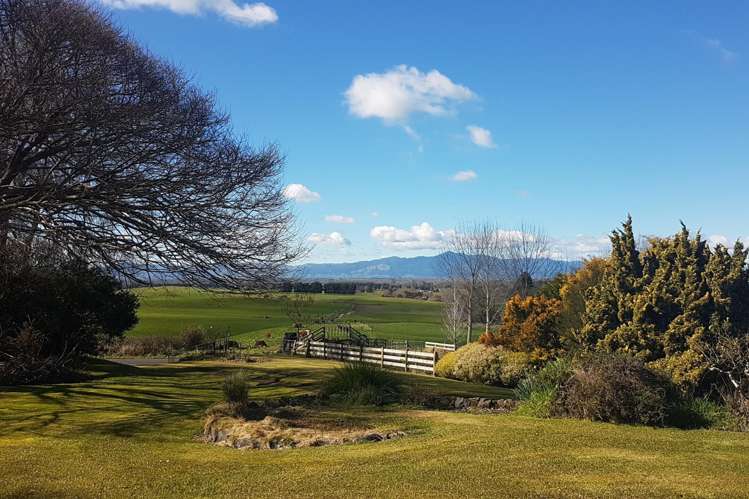 287 Quine Road Tahuna_2