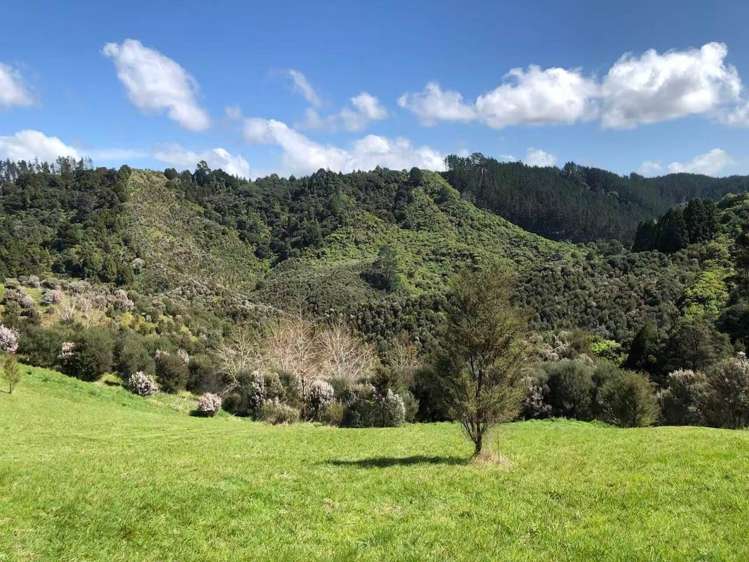 177A Moir Hill Road_2