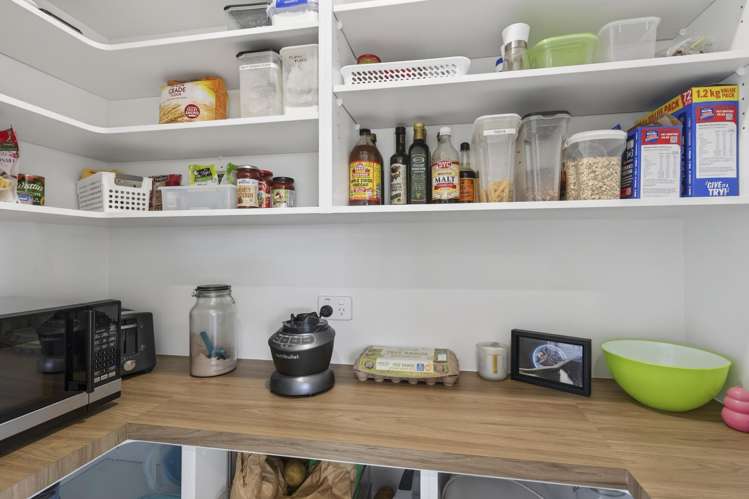 247 Huatoki Street Vogeltown_13