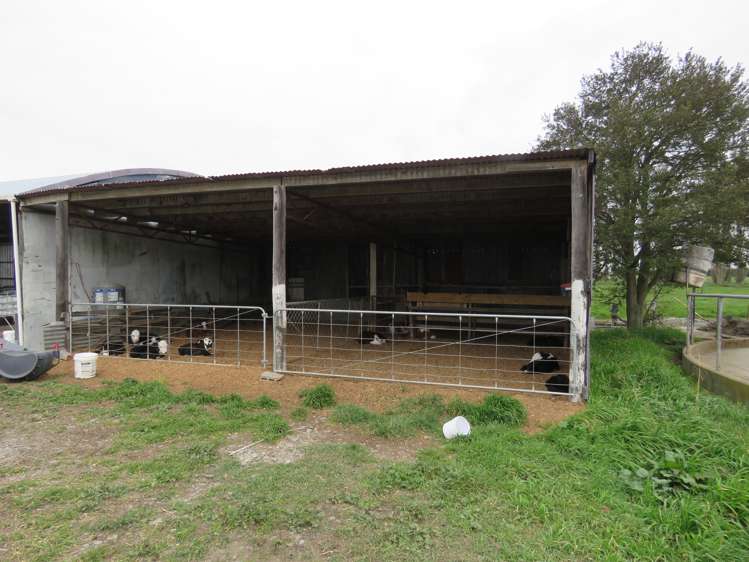 1267 Leeston Road Leeston_18