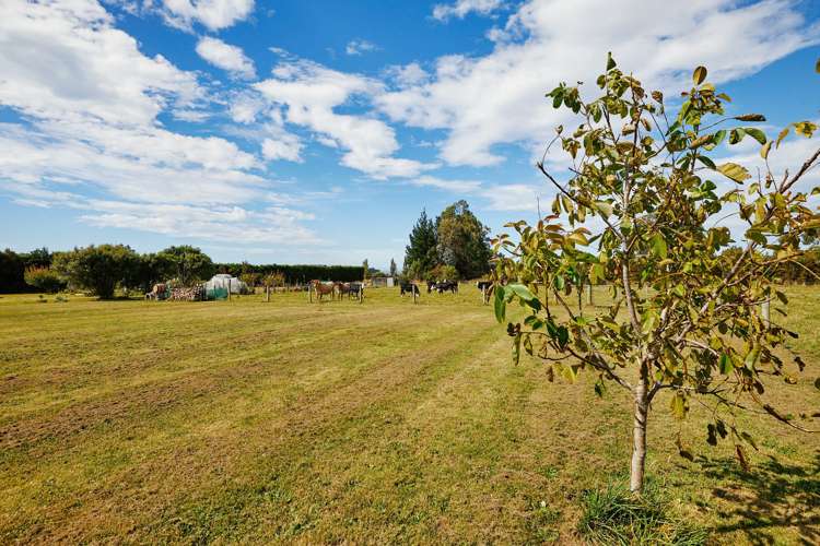 103 Harnetts Road Kaikoura_7