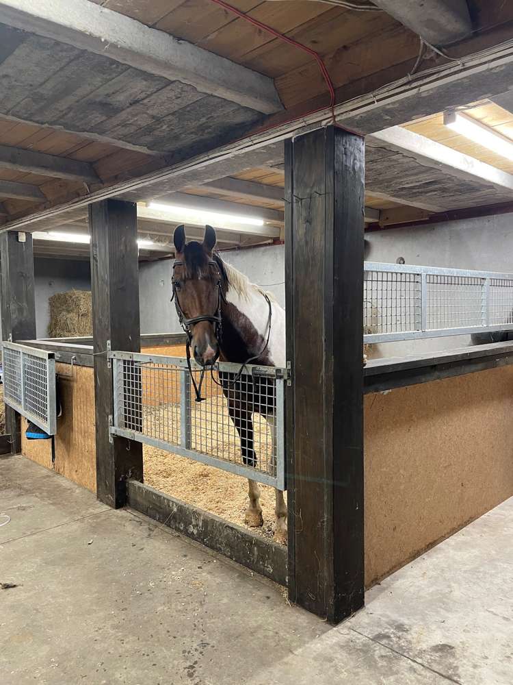 162 Hamilton Road Warkworth_26