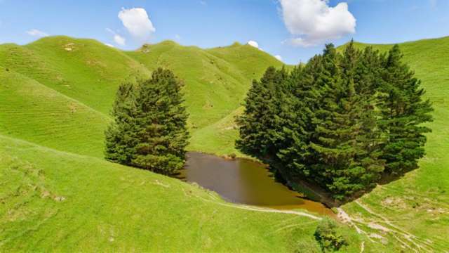 Mangaraupiu Road Eketahuna_4